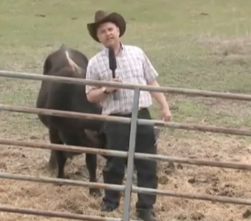 News, politics... and funny | iNFOnews.ca