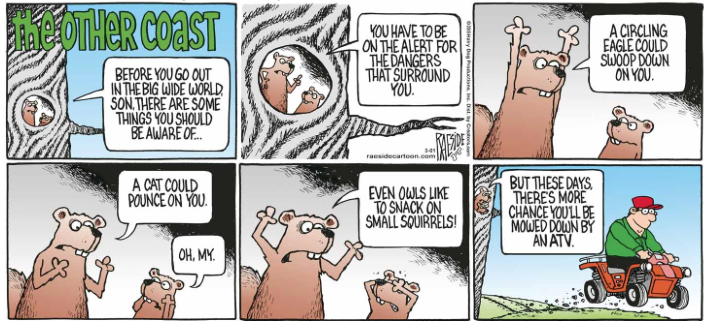 RAESIDE CARTOON | iNFOnews.ca