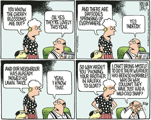 RAESIDE CARTOON | iNFOnews.ca