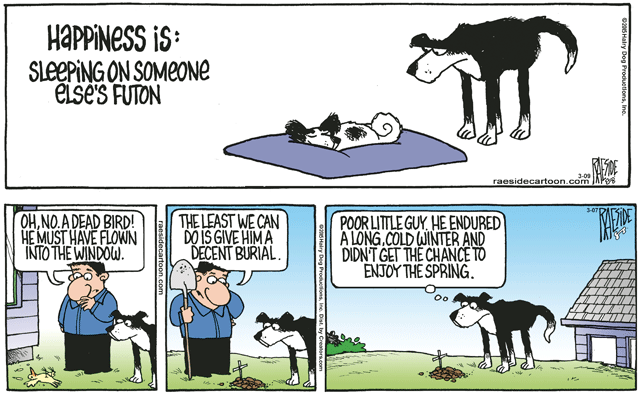 RAESIDE CARTOON | iNFOnews.ca