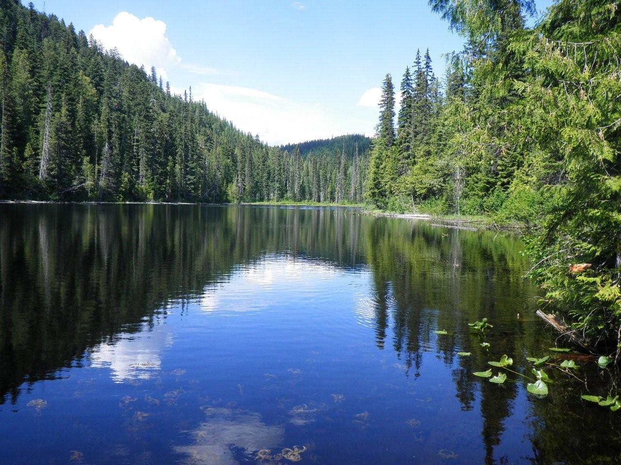Where to find camping in the North Okanagan when provincial parks are full | iNFOnews.ca Where to find camping in the North Okanagan when provincial parks are full | iNFOnews.ca