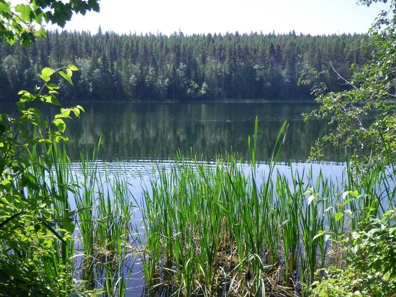 Where to find camping in the North Okanagan when provincial parks are full | iNFOnews.ca Where to find camping in the North Okanagan when provincial parks are full | iNFOnews.ca