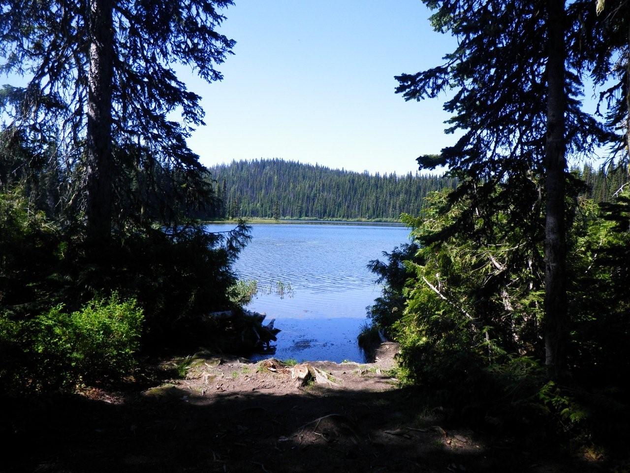 Where to find camping in the North Okanagan when provincial parks are full | iNFOnews.ca Where to find camping in the North Okanagan when provincial parks are full | iNFOnews.ca