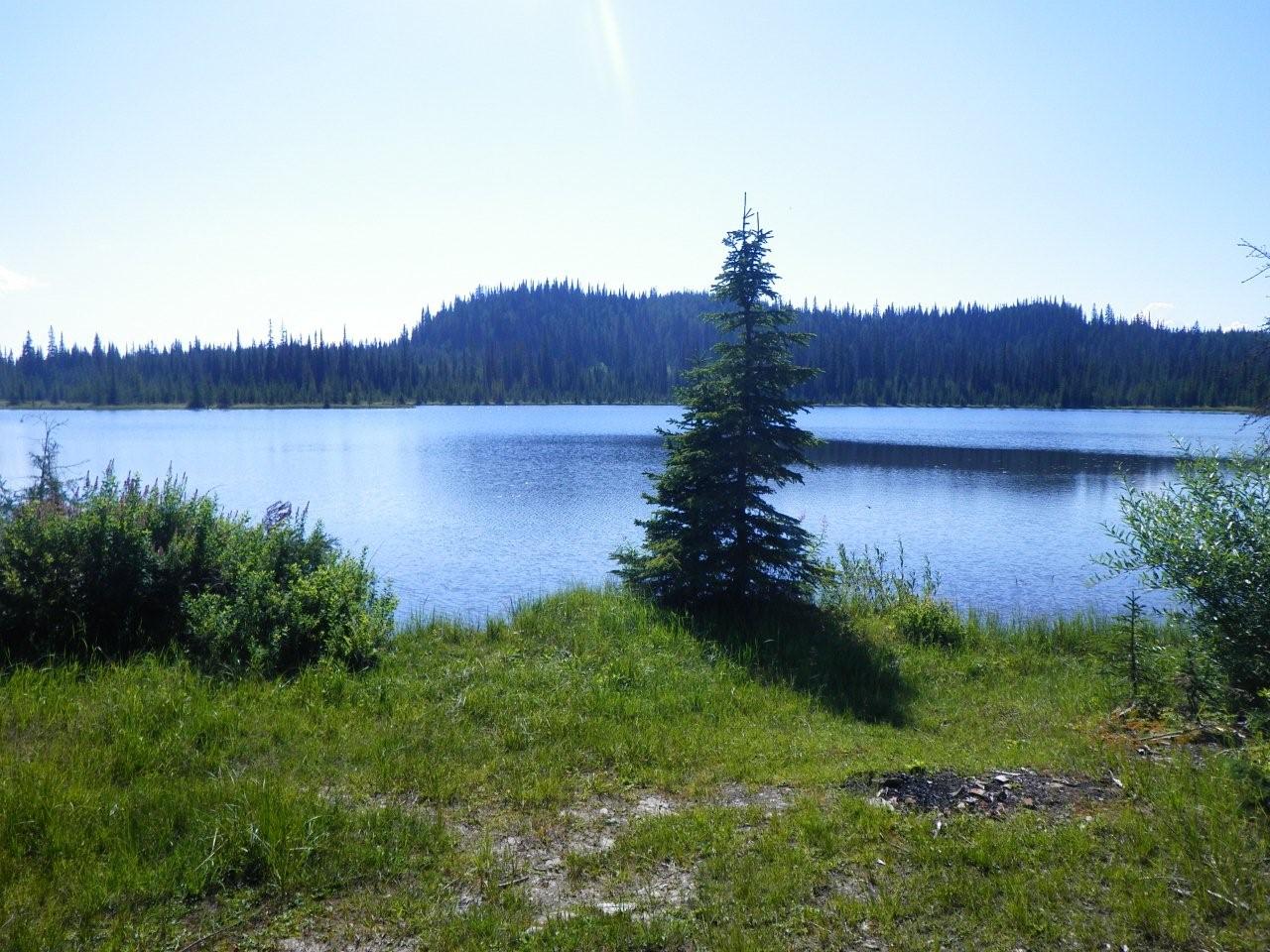 Where to find camping in the North Okanagan when provincial parks are full | iNFOnews.ca Where to find camping in the North Okanagan when provincial parks are full | iNFOnews.ca
