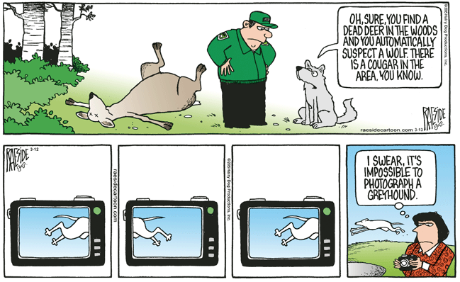 RAESIDE CARTOON | iNFOnews.ca