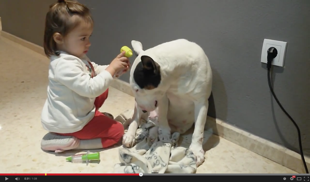 Very patient dog gets adorable toddler checkup | iNFOnews.ca