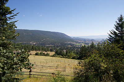 Help guide upper Glenrosa’s future | iNFOnews.ca