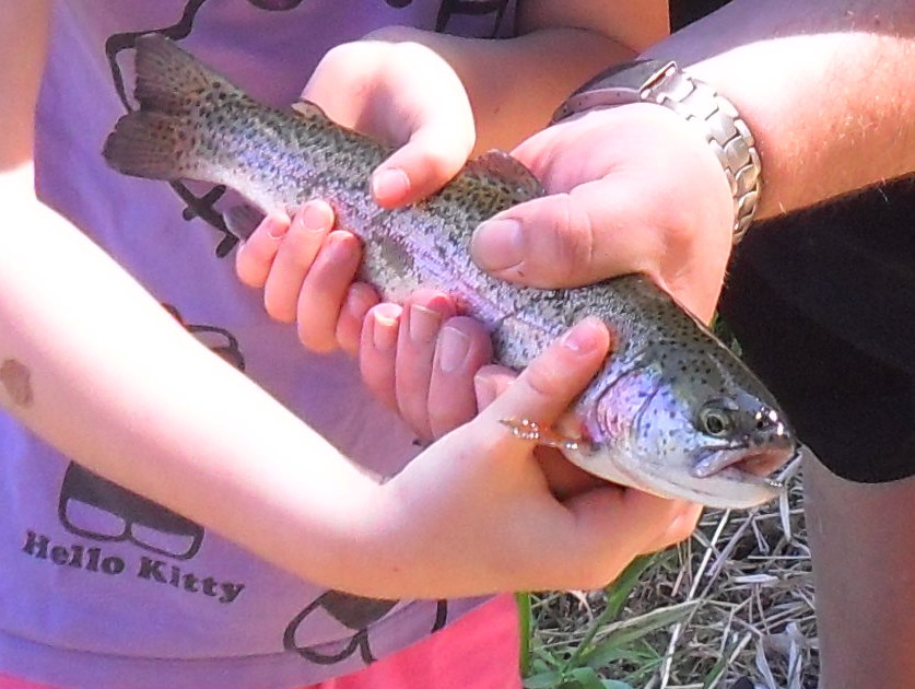 Go Fish program opens in Kelowna parks | iNFOnews.ca