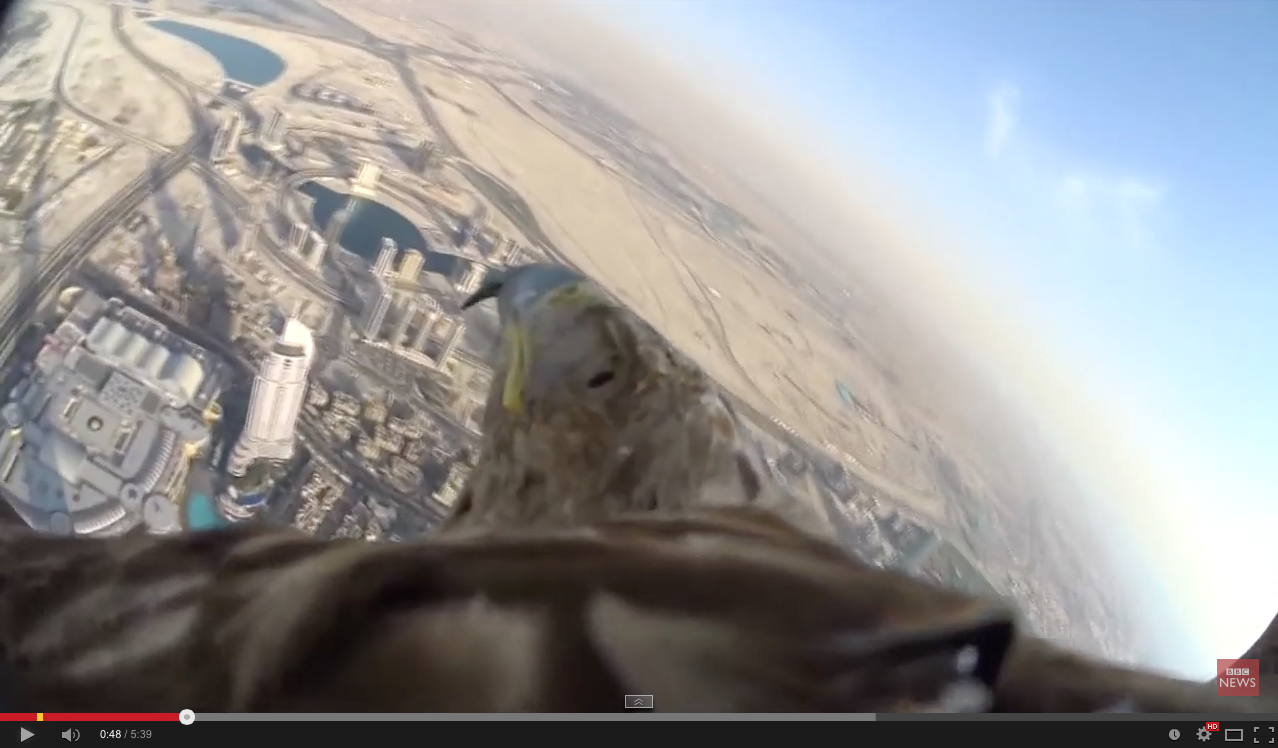Incredible eagle-eye view of Dubai | iNFOnews.ca