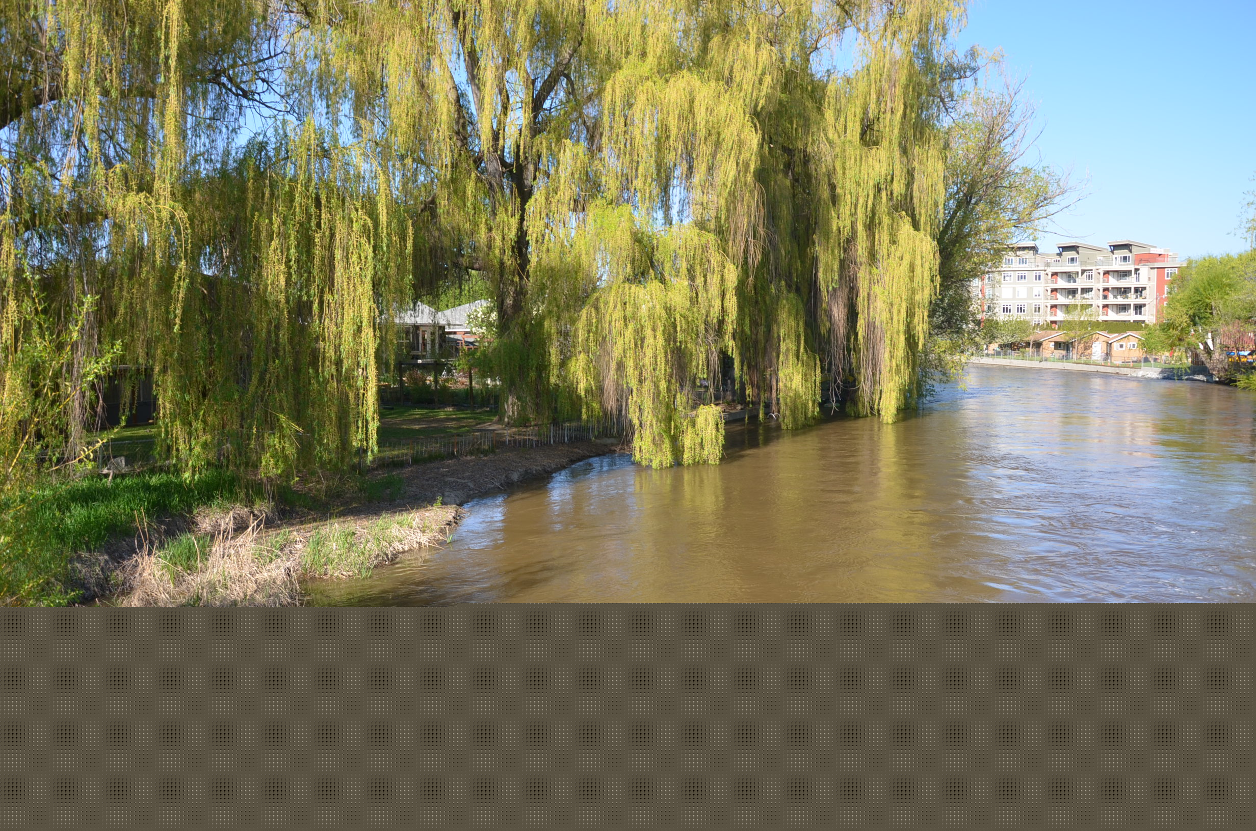 Heat spells high water for Kelowna creeks | iNFOnews.ca