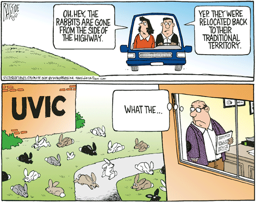 RAESIDE CARTOON | iNFOnews.ca