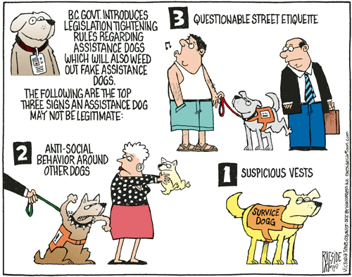 RAESIDE CARTOON | iNFOnews.ca