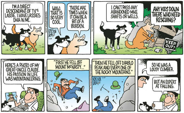 RAESIDE CARTOON | iNFOnews.ca