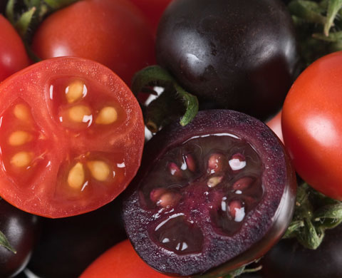 POULSEN: Why GMOs are as good as Okanagan apple pie | iNFOnews.ca