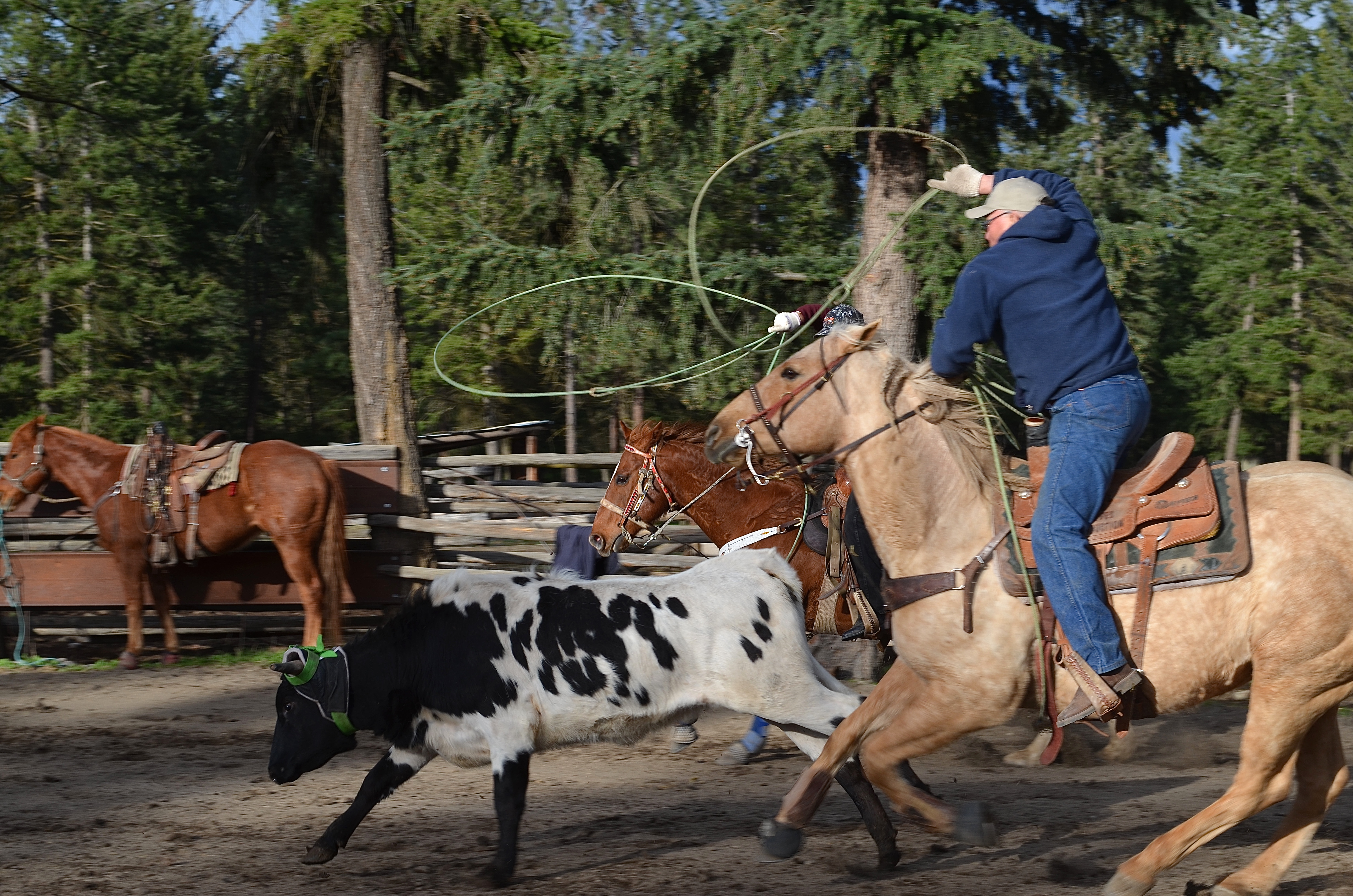 Five generations of local family inducted into Cowboy Hall of Fame | iNFOnews.ca
