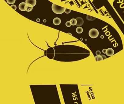 Cockroaches: What else do you need to know? | iNFOnews.ca