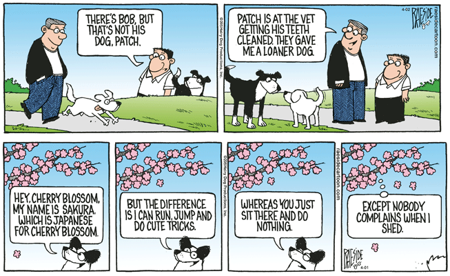 RAESIDE CARTOON | iNFOnews.ca