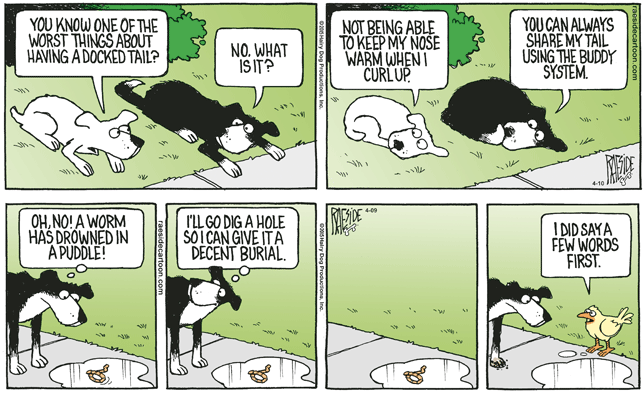 RAESIDE CARTOON | iNFOnews.ca