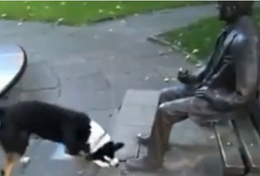 Pleeease throw the stick | iNFOnews.ca