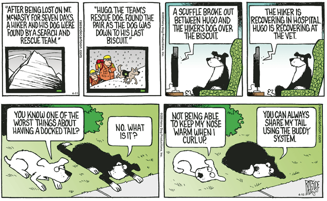 RAESIDE CARTOON | iNFOnews.ca