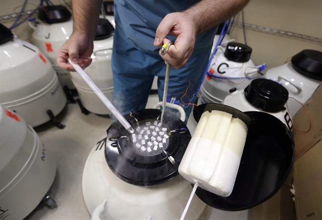 Freezing eggs to prolong fertility no guarantee of giving birth, researchers say | iNFOnews.ca Freezing eggs to prolong fertility no guarantee of giving birth, researchers say | iNFOnews.ca