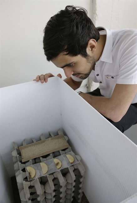 'Entopreneurs' feed growing appetite for edible insects, promote bugs as eco-friendly protein | iNFOnews.ca