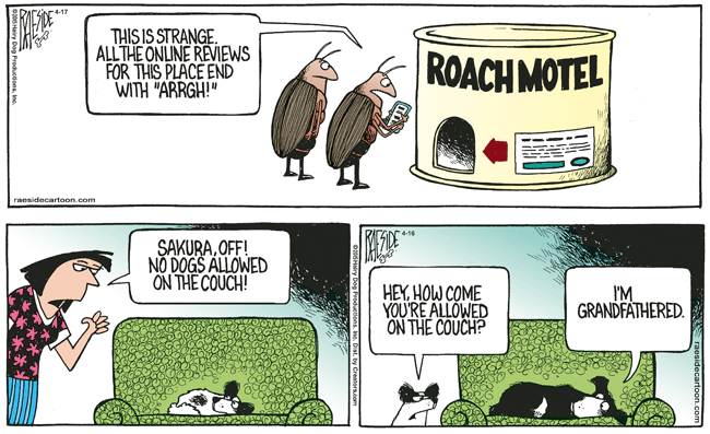 RAESIDE CARTOON | iNFOnews.ca