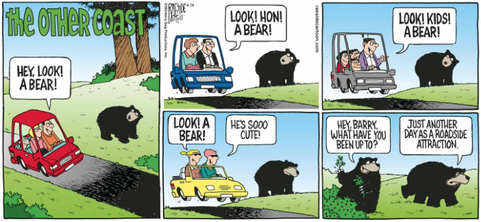 RAESIDE CARTOON | iNFOnews.ca