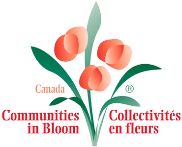 Is your garden the most beautiful? | iNFOnews.ca