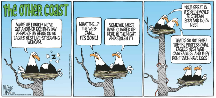 RAESIDE CARTOON | iNFOnews.ca RAESIDE CARTOON | iNFOnews.ca