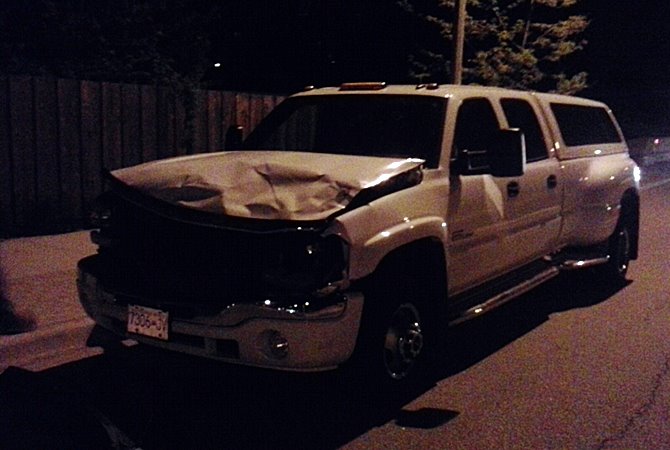 'All of a sudden, a friggin’ moose comes out of nowhere and lands on the front of the truck' | iNFOnews.ca