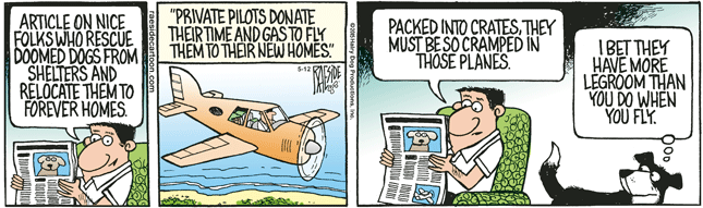 RAESIDE'S CARTOON | iNFOnews.ca