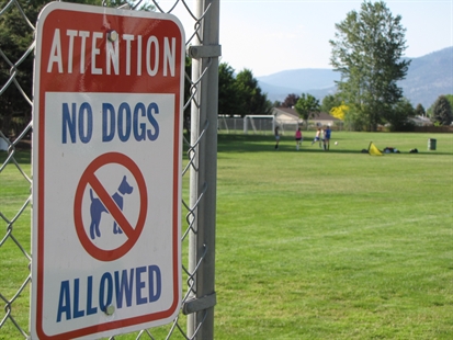 Reminder to keep dogs off Kelowna sports fields, school grounds and beaches | iNFOnews.ca