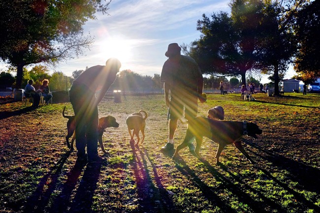 Reducing dog bites starts with kids: Don't hug, tease, touch or run from unknown pooches | iNFOnews.ca Reducing dog bites starts with kids: Don't hug, tease, touch or run from unknown pooches | iNFOnews.ca