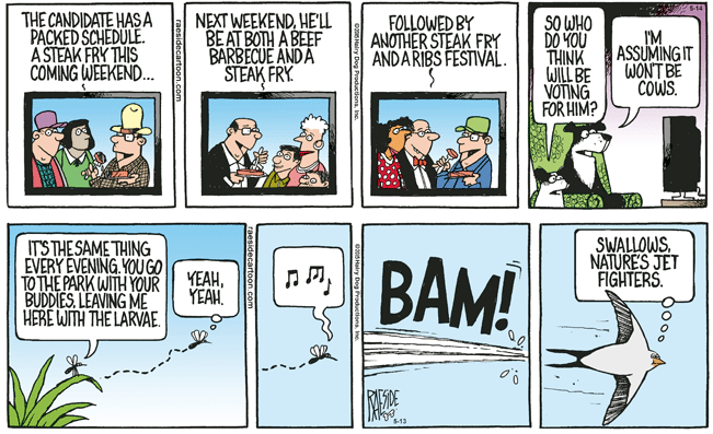 RAESIDE CARTOON | iNFOnews.ca