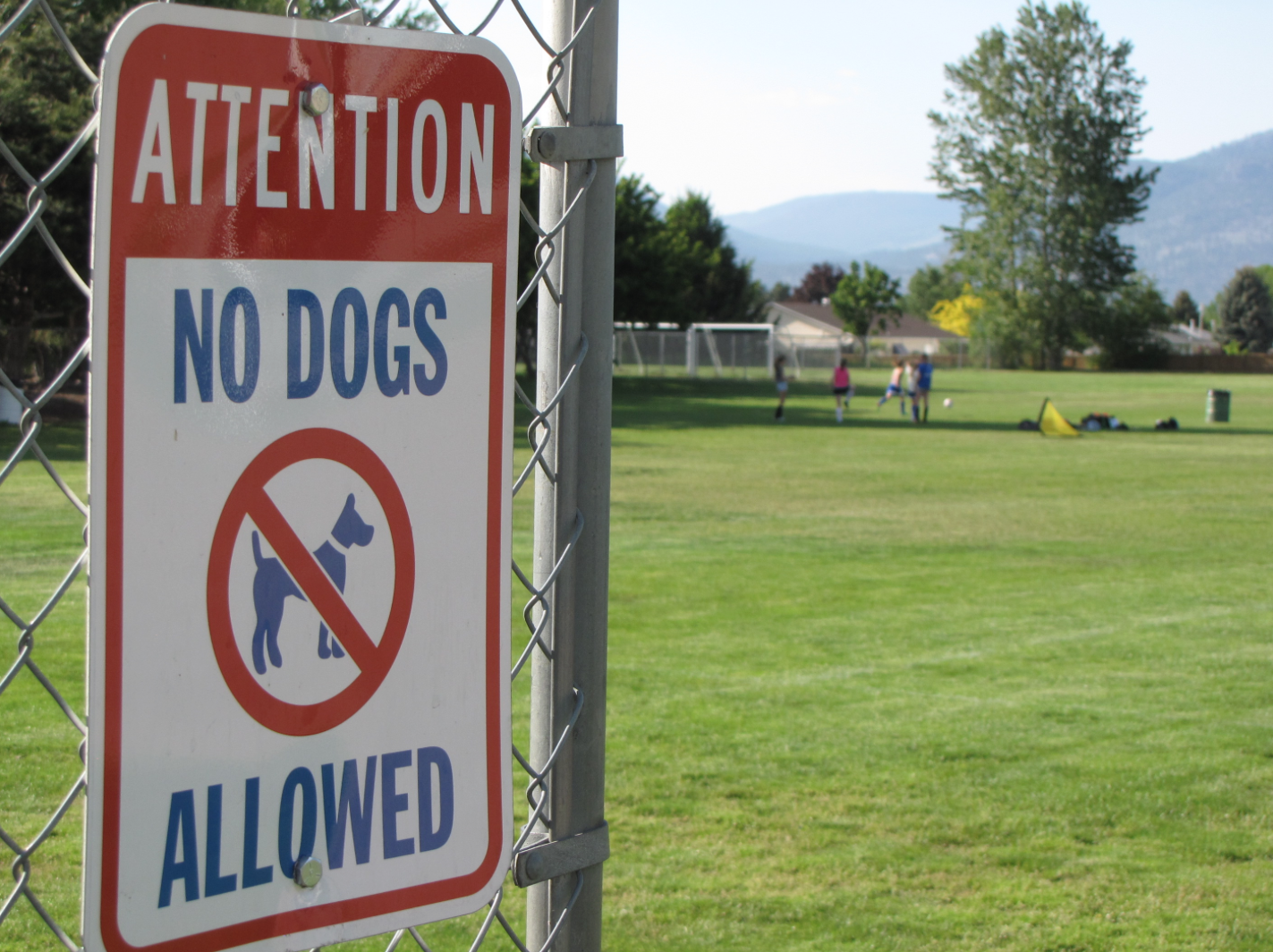 Please keep dogs off sports fields, school grounds and beaches | iNFOnews.ca Please keep dogs off sports fields, school grounds and beaches | iNFOnews.ca