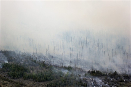 Lightning sparks five new wildfires in B.C. Interior as massive blaze continues | iNFOnews.ca