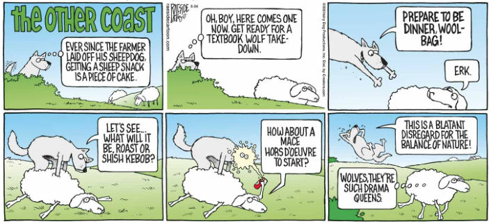 RAESIDE CARTOON | iNFOnews.ca