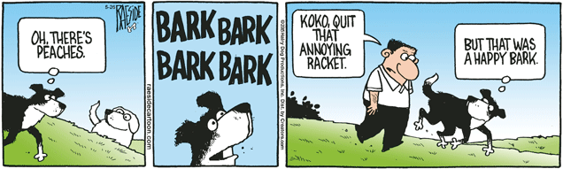 RAESIDE CARTOON | iNFOnews.ca