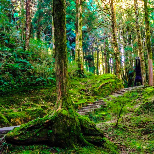Armstrong couple's Instagram photos will make your jaw drop | iNFOnews.ca Armstrong couple's Instagram photos will make your jaw drop | iNFOnews.ca