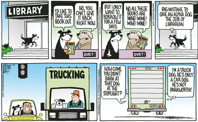 RAESIDE CARTOON | iNFOnews.ca