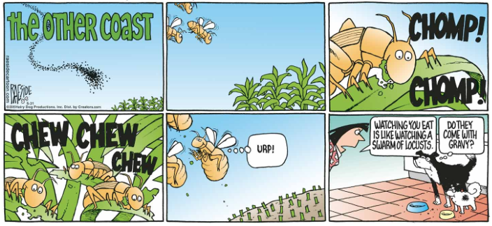 RAESIDE CARTOON | iNFOnews.ca