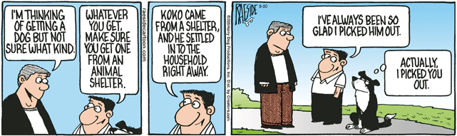 RAESIDE CARTOON | iNFOnews.ca