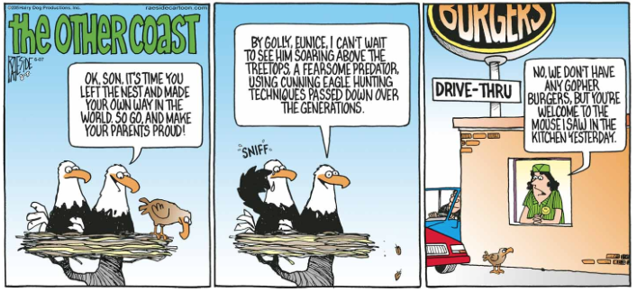 RAESIDE CARTOON | iNFOnews.ca