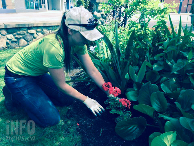 Kamloops city gardener talks about alternatives to pesticides | iNFOnews.ca Kamloops city gardener talks about alternatives to pesticides | iNFOnews.ca