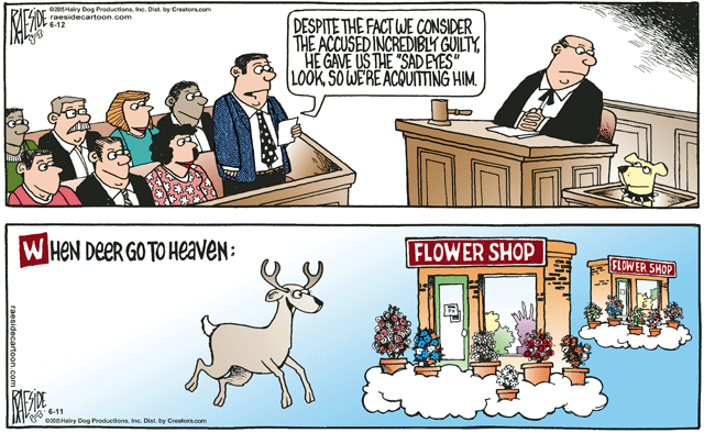 RAESIDE CARTOON | iNFOnews.ca