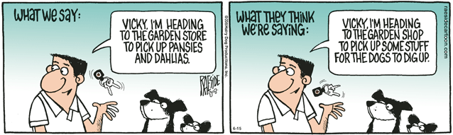 RAESIDE CARTOON | iNFOnews.ca