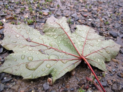 UPDATE: severe thunderstorm, hail, rainfall warning continued for central Okanagan including Kelowna | iNFOnews.ca