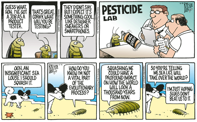 RAESIDE CARTOON | iNFOnews.ca