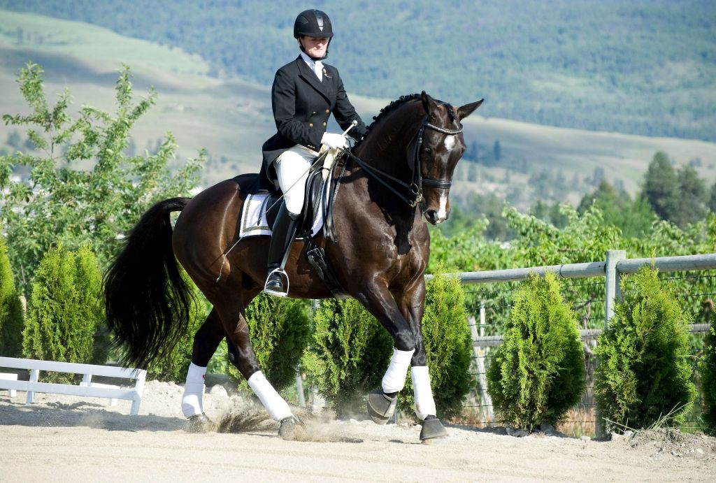 Canadian equestrian champion Joni Lynn Peters to perform at Midsummer Night | iNFOnews.ca
